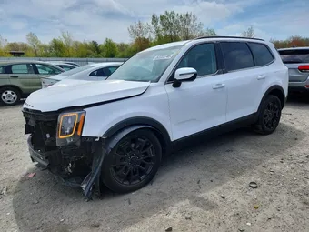 2021 Kia Telluride 5XYP5DHC8MG135653