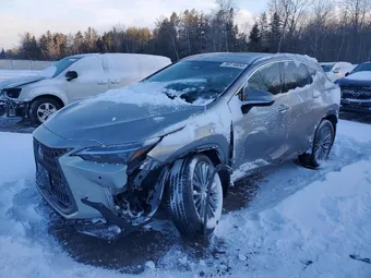 2024 Lexus NX 350H 2T2GKCEZ6RC030202