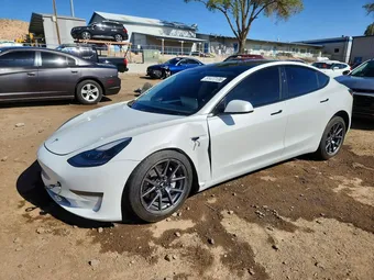 2021 Tesla Model 3 5YJ3E1EA9MF096742 Lot 51477136
