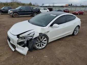 2020 Tesla Model 3 5YJ3E1EA3LF793080 Lot 49766646