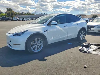 2021 Tesla Model Y 5YJYGAEE3MF272428 Lot 49924486
