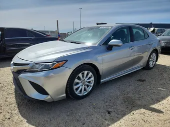 2019 Toyota Camry 4T1B11HK9KU783196 Lot 53423566