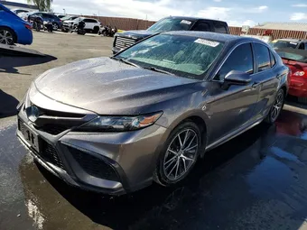 2021 Toyota Camry 4T1G31AK9MU566504 Lot 50369396