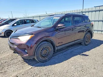 2017 Toyota RAV4 2T3RFREV8HW604692 Lot 50421366