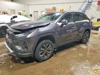 2023 Toyota RAV4 2T3DWRFV0PW163678 Lot 74636265