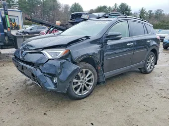 2018 Toyota RAV4 JTMDJREV8JD226949 Lot 48162546