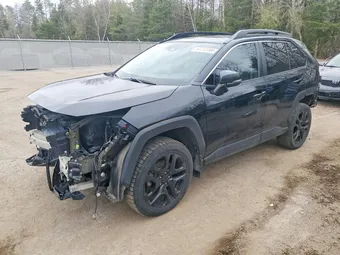 2019 Toyota RAV4 2T3J1RFV7KW039255 Lot 50732066