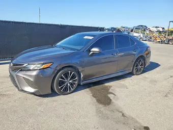 2019 Toyota Camry 4T1B11HKXKU172769 Lot 53952376
