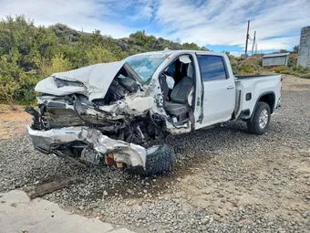 2020 Chevrolet Silverado 1GC4YPEY6LF336609 Lot 49831426