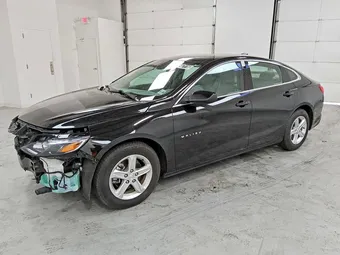 2023 Chevrolet Malibu 1G1ZC5ST4PF187603 Lot 49547116