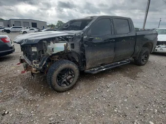 2019 Chevrolet Silverado 1500 3GCPYFED2KG110584 Lot 48966886