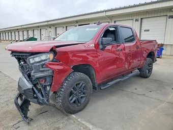 2019 Chevrolet Silverado 1GCPYFED1KZ122306 Lot 46300466