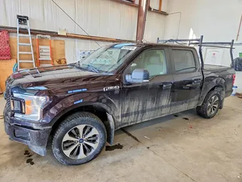 2019 Ford F-150 1FTEW1EP5KKE54381 Lot 50258516