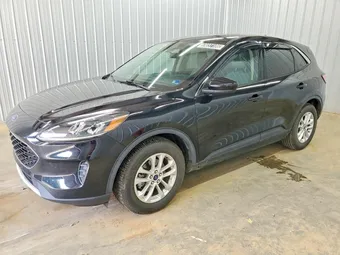 2020 Ford Escape 1FMCU0G67LUB80548 Lot 53037106
