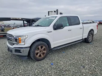 2020 Ford F-150 1FTEW1C43LKD24979 Lot 48928266