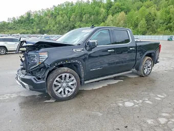 2025 GMC Sierra 3GTUUGE89SG140401 Lot 50916566