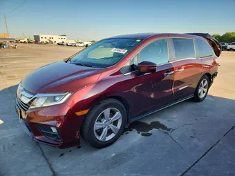 2019 Honda Odyssey 5FNRL6H78KB030533 Lot 52450276