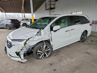 2024 Honda Odyssey 5FNRL6H86RB038228 Lot 79164895