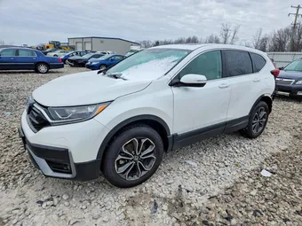 2020 Honda CR-V 5J6RW2H54LA003266 Lot 46331906