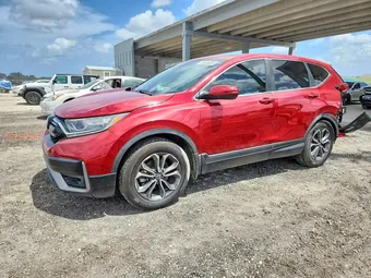 2020 Honda CR-V 5J6RW1H50LL003568 Lot 49485086