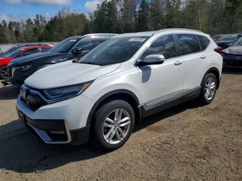 2022 Honda CR-V 2HKRW2H90NH208989 Lot 51863286