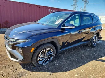 2025 Hyundai Tucson Hybrid KM8JEDD13SU340122 Lot 48461146