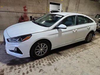 2019 Hyundai Sonata 5NPE24AF0KH819137 Lot 46753366