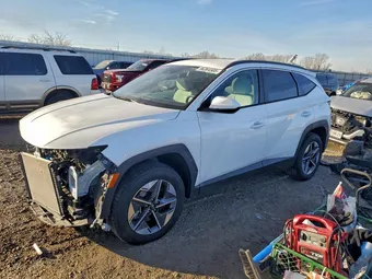 2025 Hyundai Tucson 5NMJBCDE7SH457672 Lot 96364505
