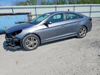 2019 Hyundai Sonata 5NPE34AF1KH775498 Lot 49921886