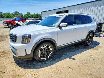 2024 Kia Telluride 5XYP6DGC5RG495551