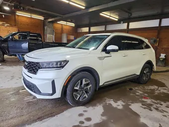 2022 Kia Sorento KNDRGDLG2N5125028 Lot 49719136