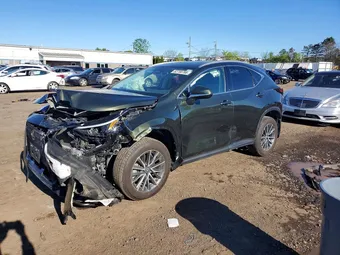2023 Lexus NX 350 2T2GGCEZ3PC025084