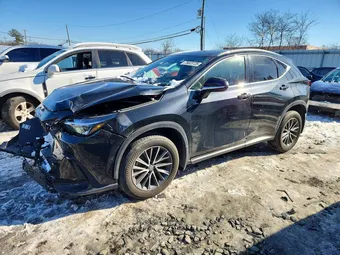 2022 Lexus NX 350 2T2GGCEZ7NC011914 Lot 75823725