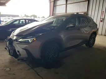 2023 Lexus NX 350 2T2AGCEZ9PC020381 Lot 51816946