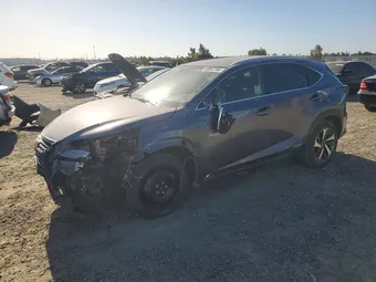 2021 Lexus NX 300H JTJGJRDZ8M2149126