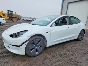 2021 Tesla Model 3 5YJ3E1EA3MF087647 Lot 77766295