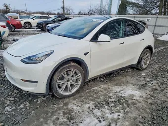 2022 Tesla Model Y 7SAYGDEE8NF308376 Lot 74145805