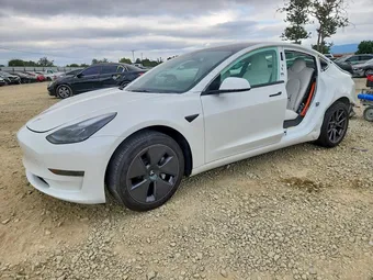2023 Tesla Model 3 5YJ3E1EA7PF607255 Lot 50978516