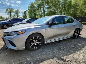 2019 Toyota Camry 4T1B11HKXKU231450 Lot 50905046