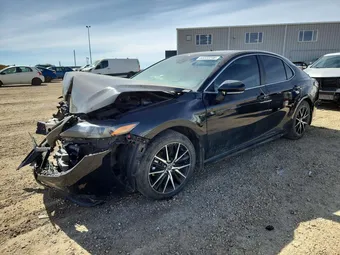 2024 Toyota Camry 4T1B21HK6RU020365 Lot 53222246