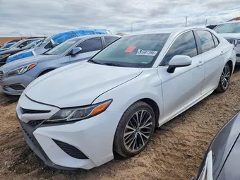 2019 Toyota Camry 4T1B11HKXKU779934 Lot 51681386