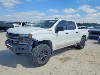 2020 Chevrolet Silverado 1500 3GCPYFED6LG447311 Lot 79451655