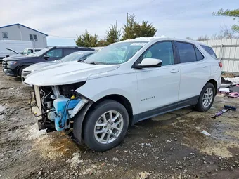 2023 Chevrolet Equinox 3GNAXUEG4PS177500 Lot 41817066