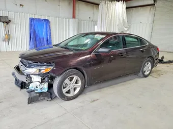 2020 Chevrolet Malibu 1G1ZB5ST5LF075664 Lot 53442056
