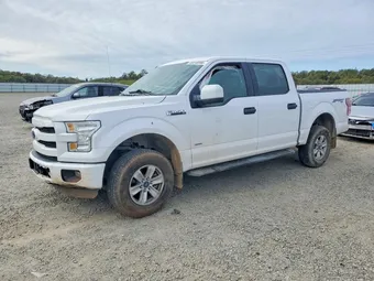 2015 Ford F-150 1FTEW1EP2FKD40313 Lot 45518596
