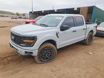 2024 Ford F-150 1FTEW2LP2RKF10893 Lot 48262436