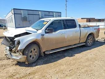 2023 Ford F-150 / F-150 Lightning 1FTFW1E89PFC18815 Lot 48986196