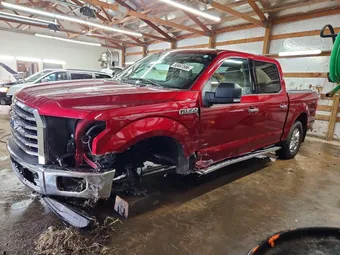 2016 Ford F-150 1FTEW1EG2GFB31096 Lot 50467586