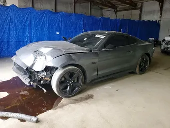 2023 Ford Mustang 1FA6P8CF0P5307174 Lot 50724346