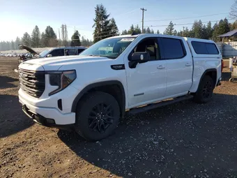 2025 GMC Sierra 1500 3GTUUCEDXSG183229 Lot 74479935